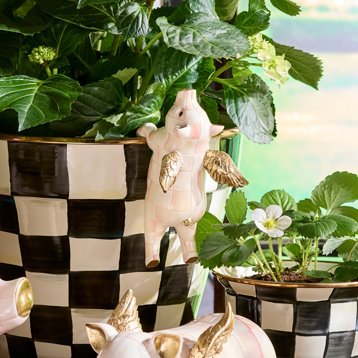 Rosy Check Flying Pig Pot Climber - Image 5