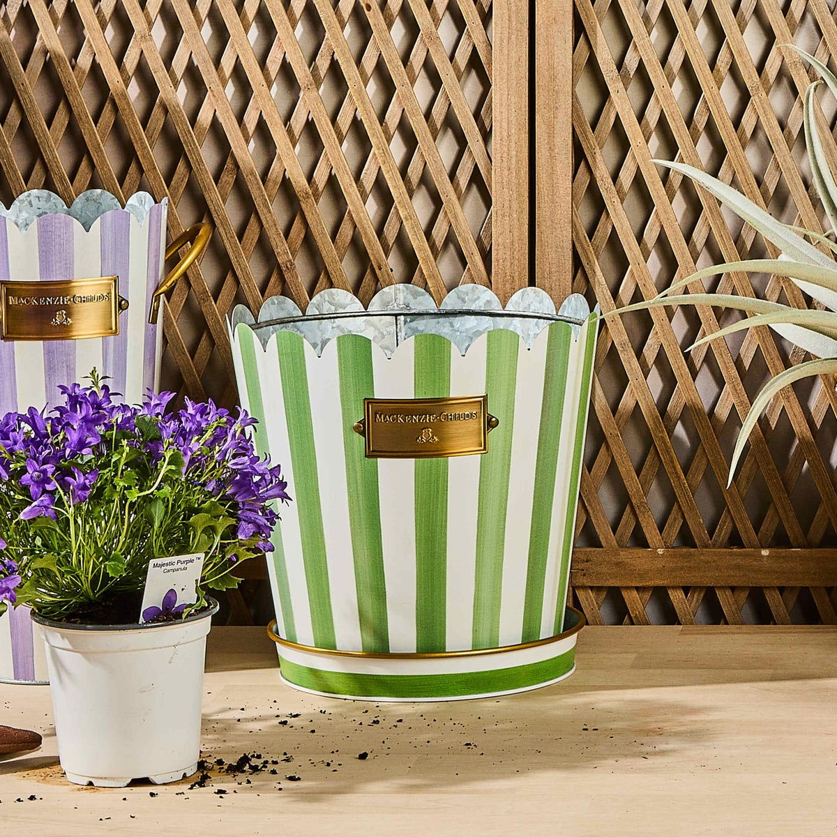 Grass Green Stripe Pots & Saucers, Set of 3 - Image 2