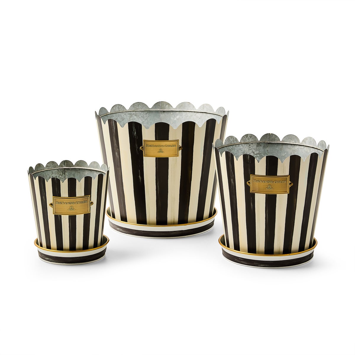 Courtly Stripe Pots & Saucers, Set of 3