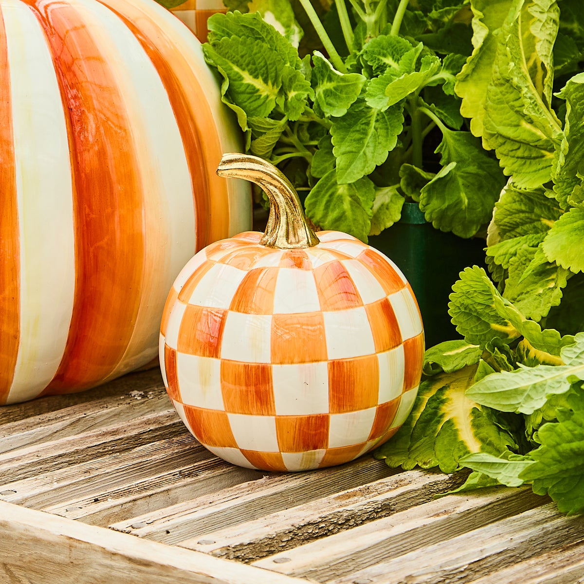 Orange Check Mini Pumpkin - Image 7