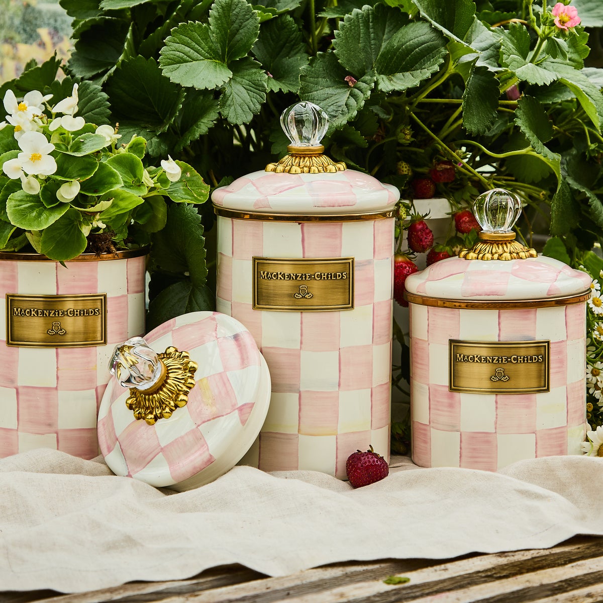 Rosy Check Large Canister - Image 4
