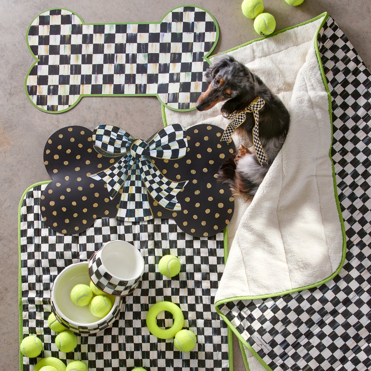 Courtly Check Large Pet Dish - Image 8
